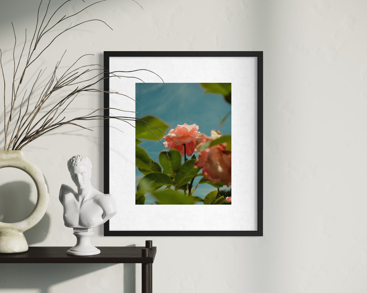 in bloom, pale pink rose