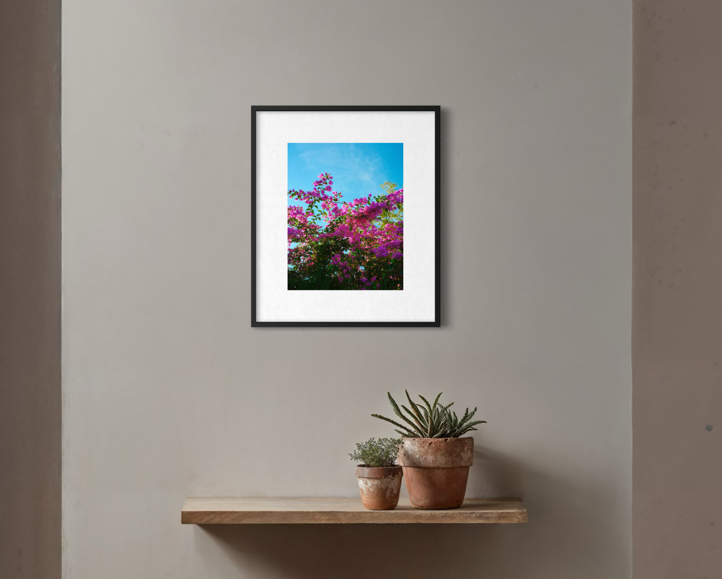 Bougainvillea & Sky