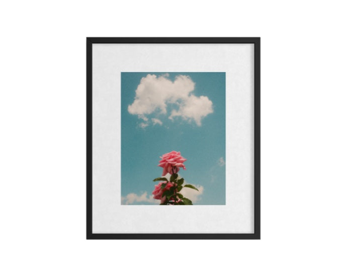 sky blooms #1