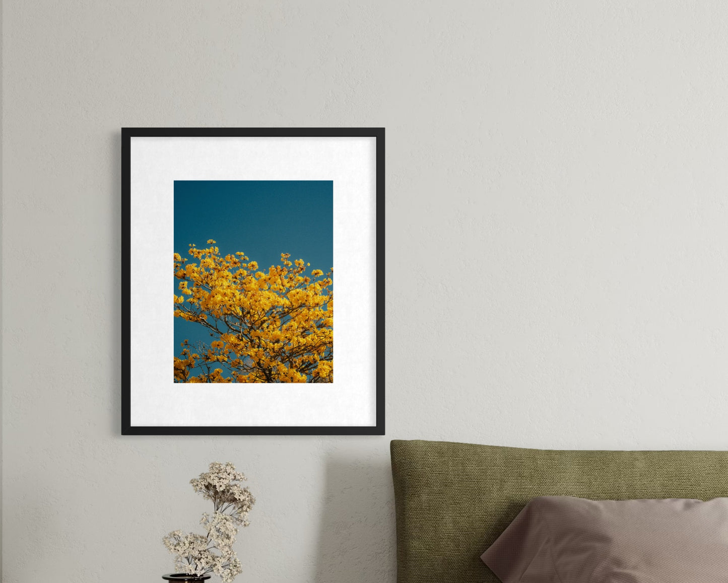 yellow tabebuias