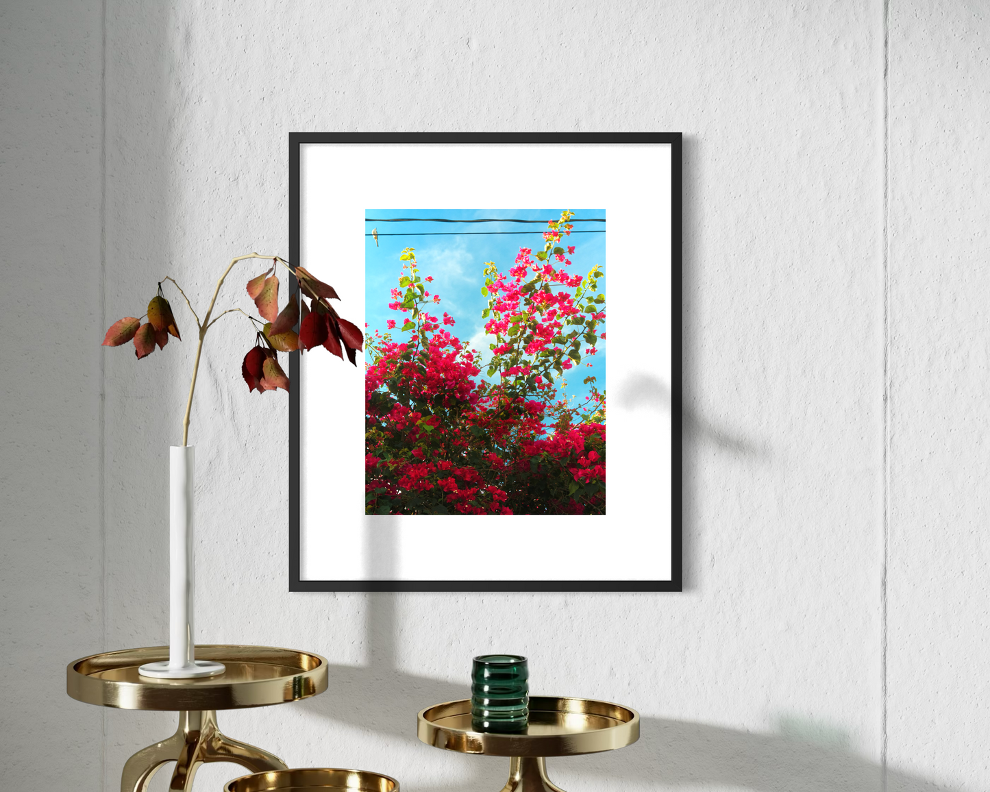 Bird & Bougainvillea